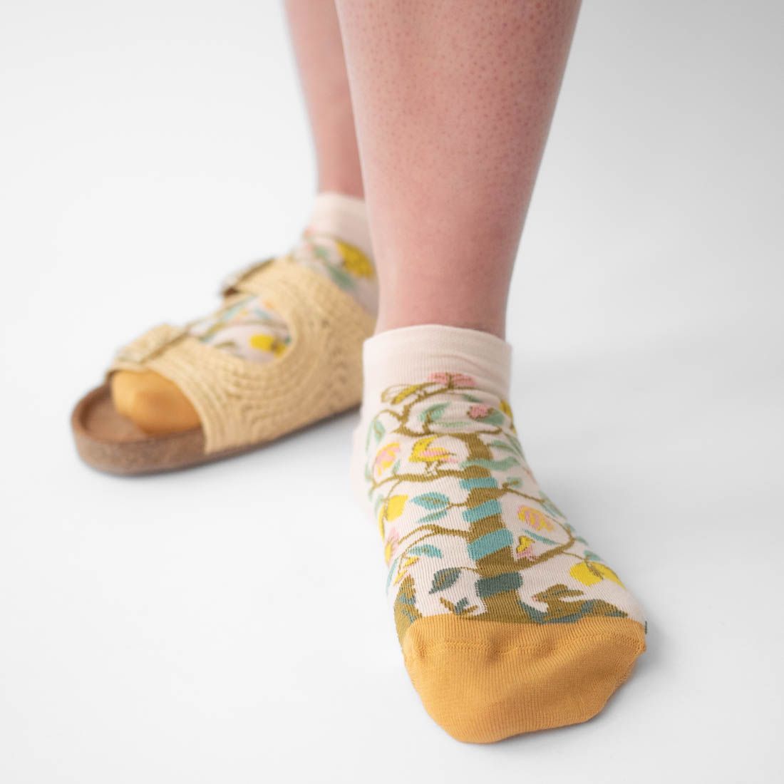 bonne maison Socken