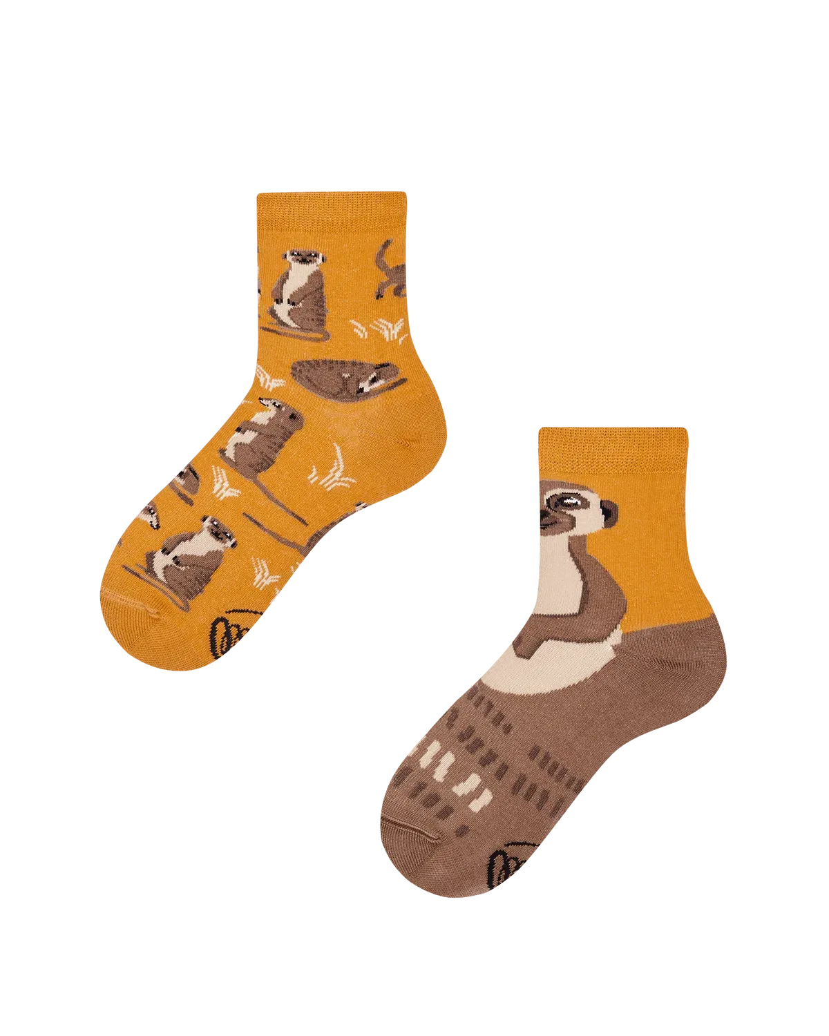 Many Mornings The Meerkat