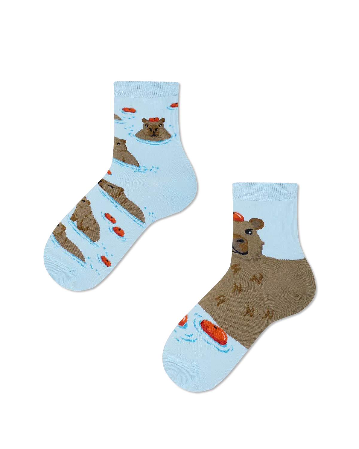 Many Mornings Capybara