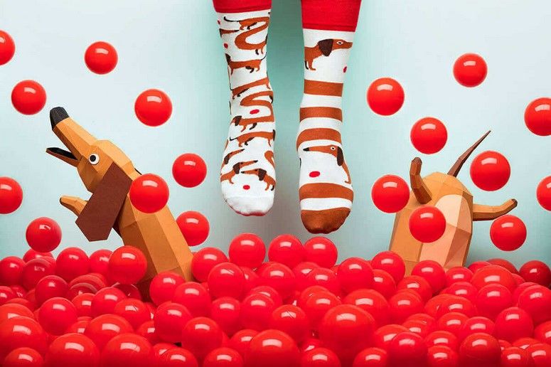 Many Mornings Sausage Dog