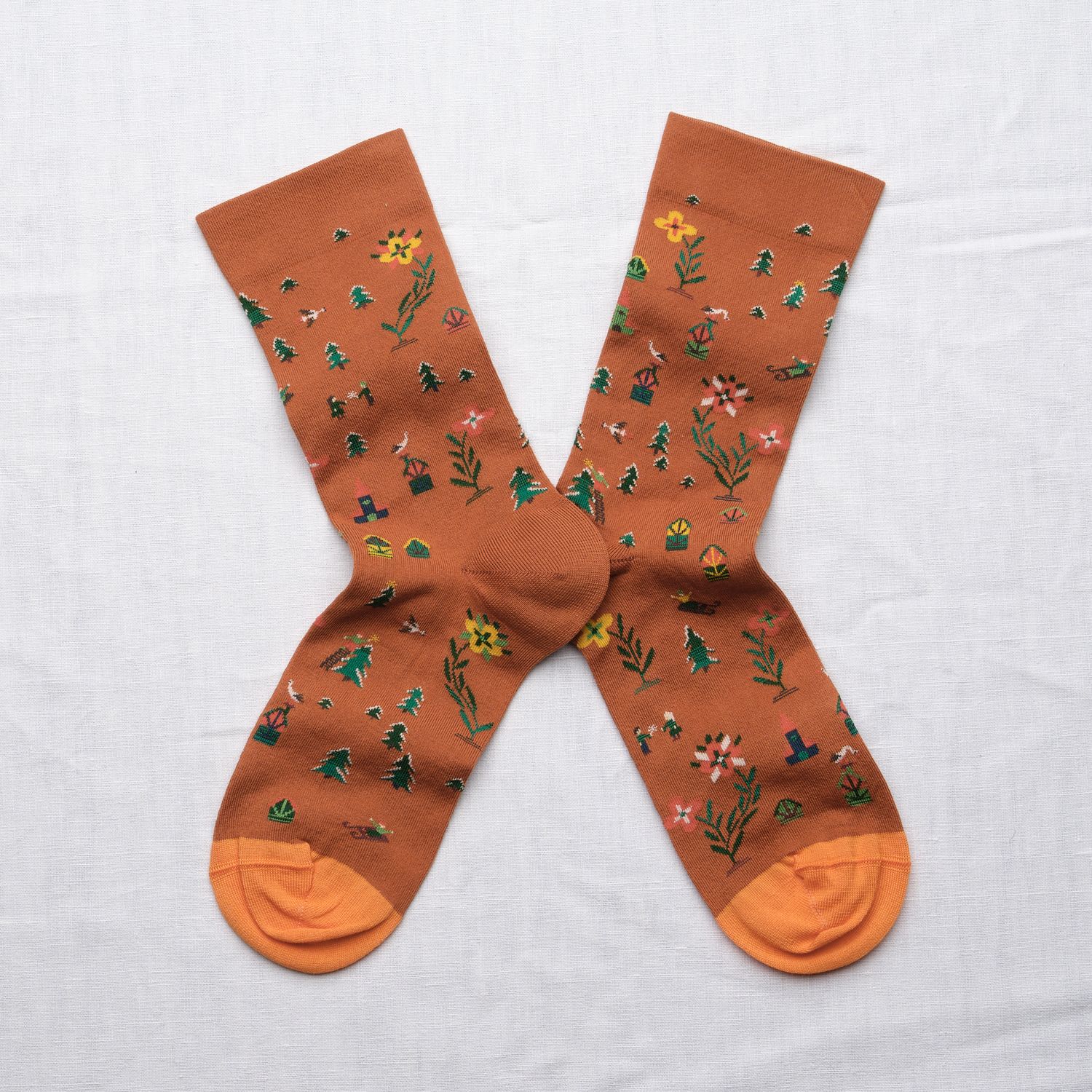 bonne maison Socken