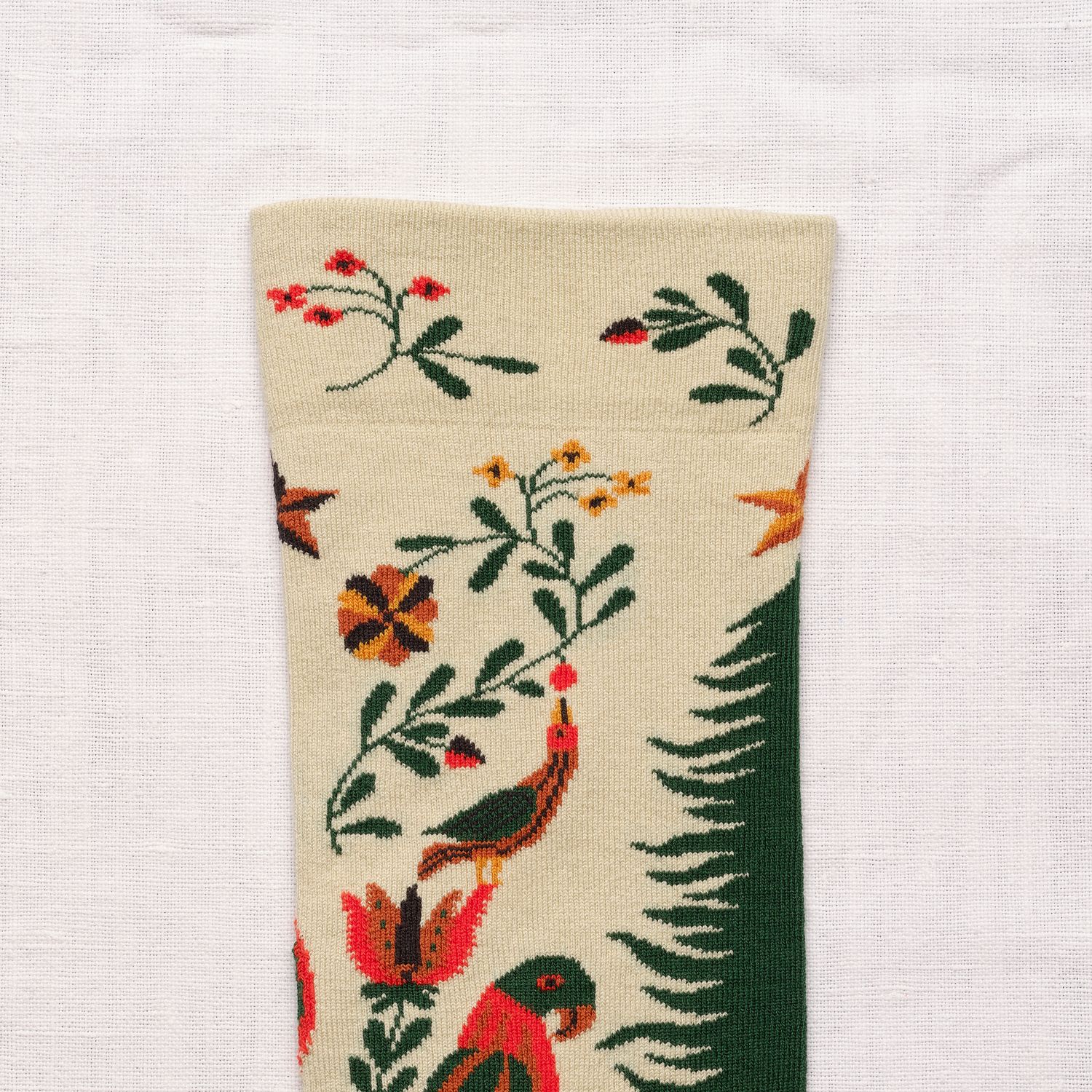 bonne maison Socken