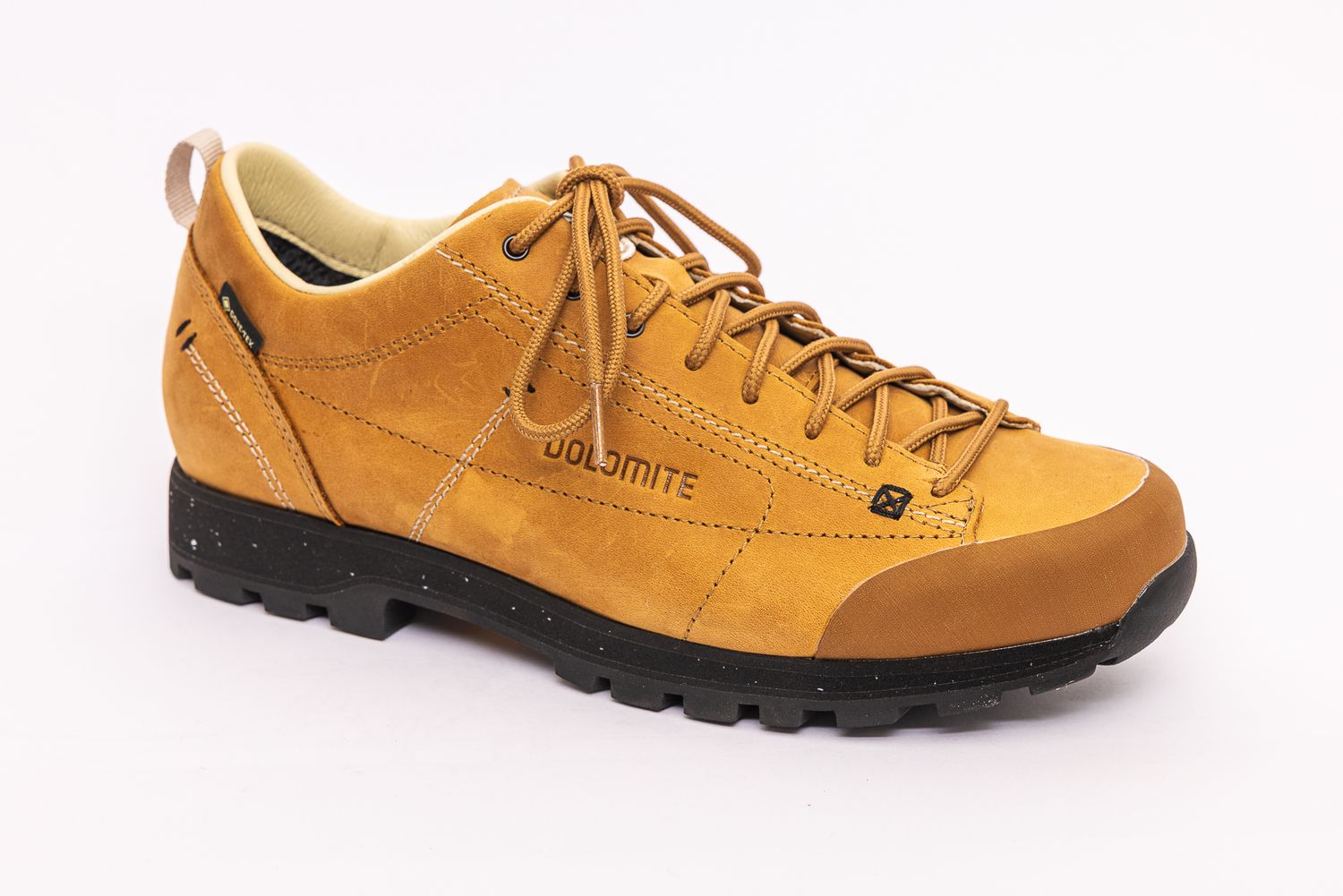 Dolomite 54 Low EVO GTX