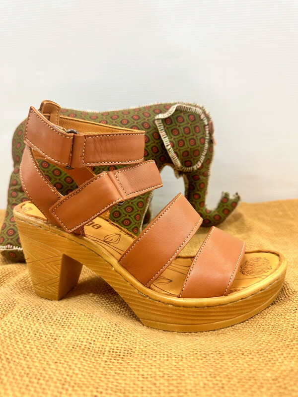 Tsonga- Moremi, hazel