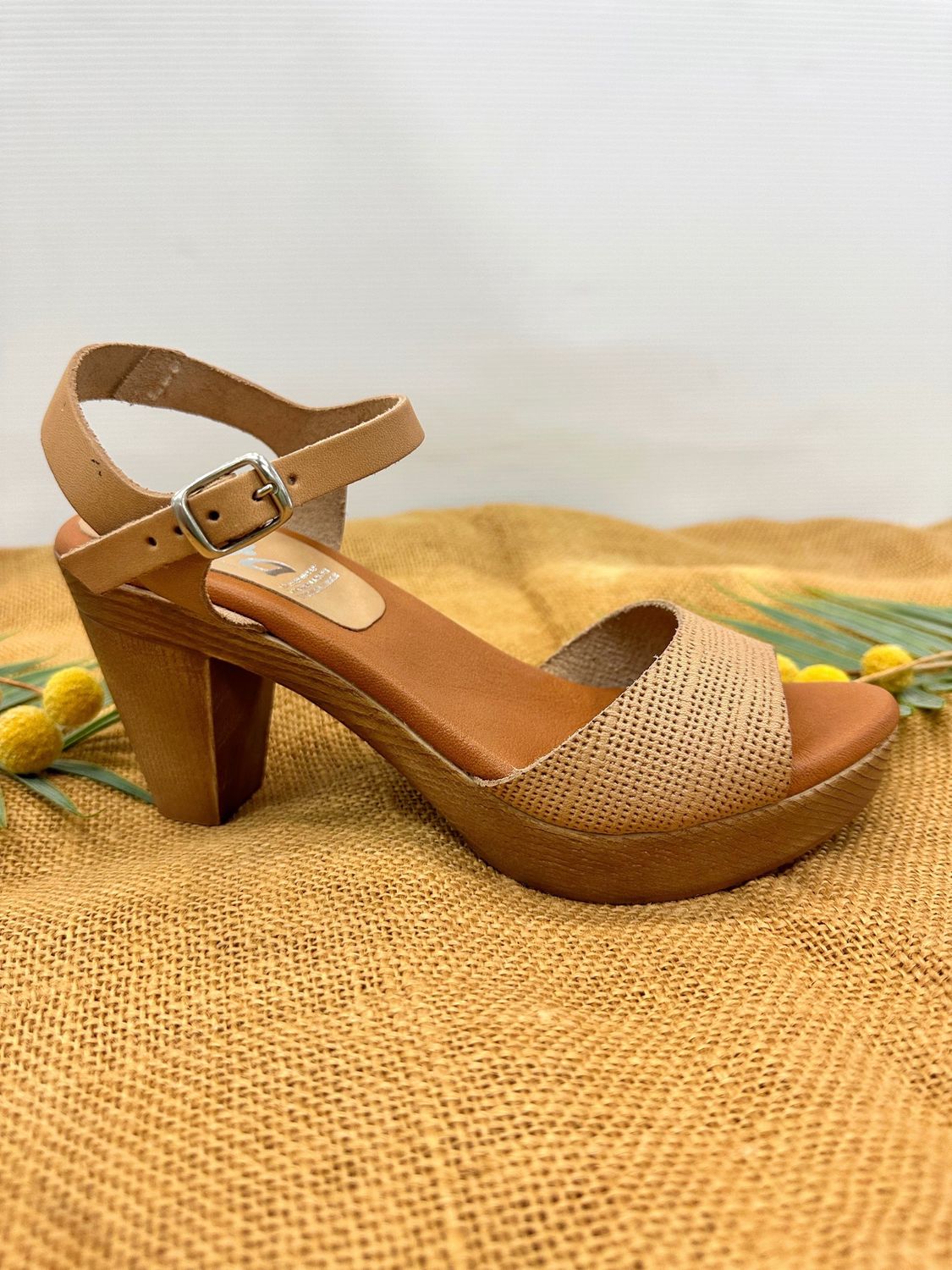 Zeta- Felino, Brown
