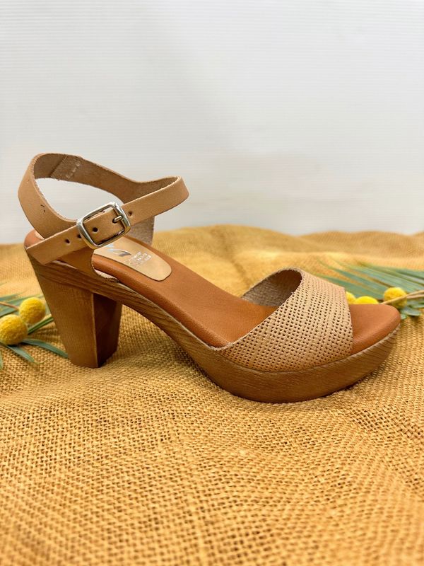 Zeta- Felino, Brown