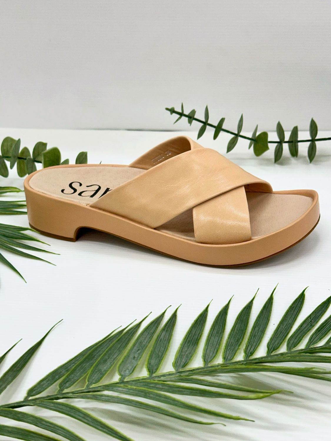 Marco Santini- Pedro