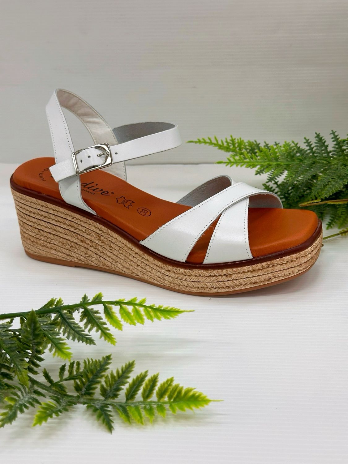 Luxdive- EIO254493/84