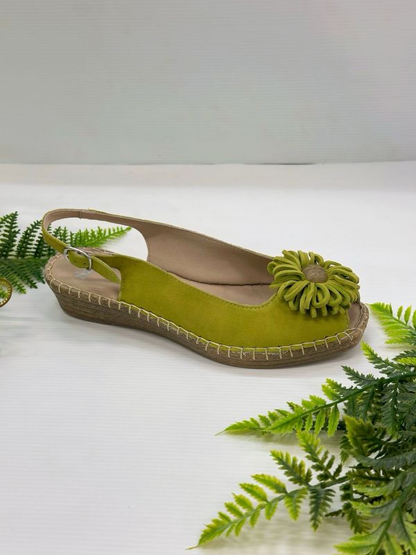 Sala- Erica, green