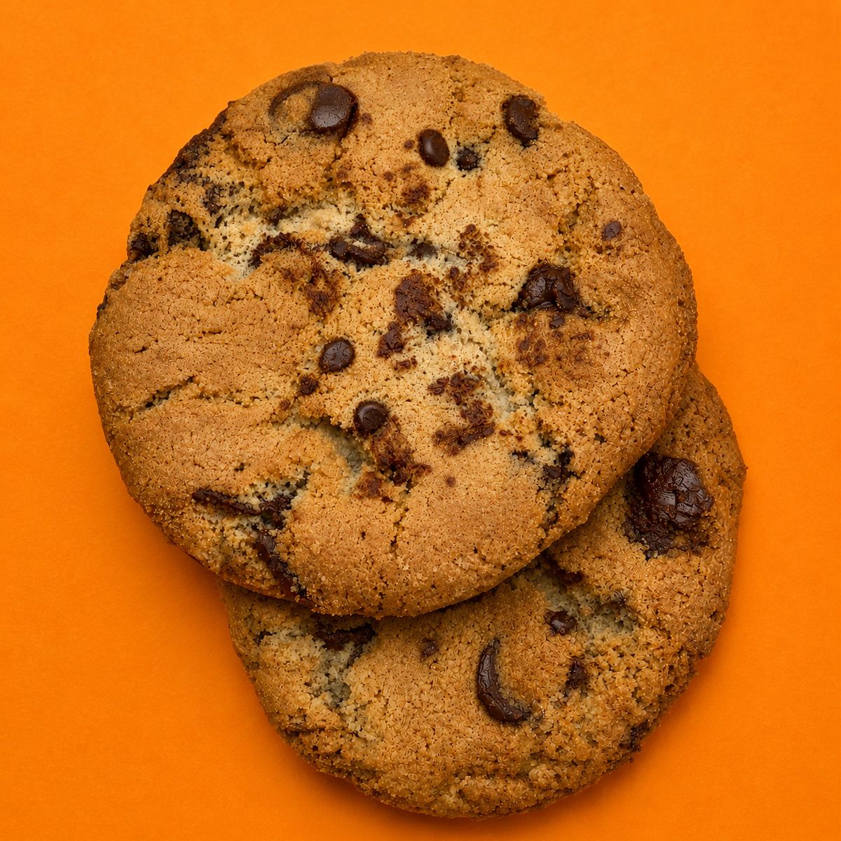 Chocolate Chip Cookie