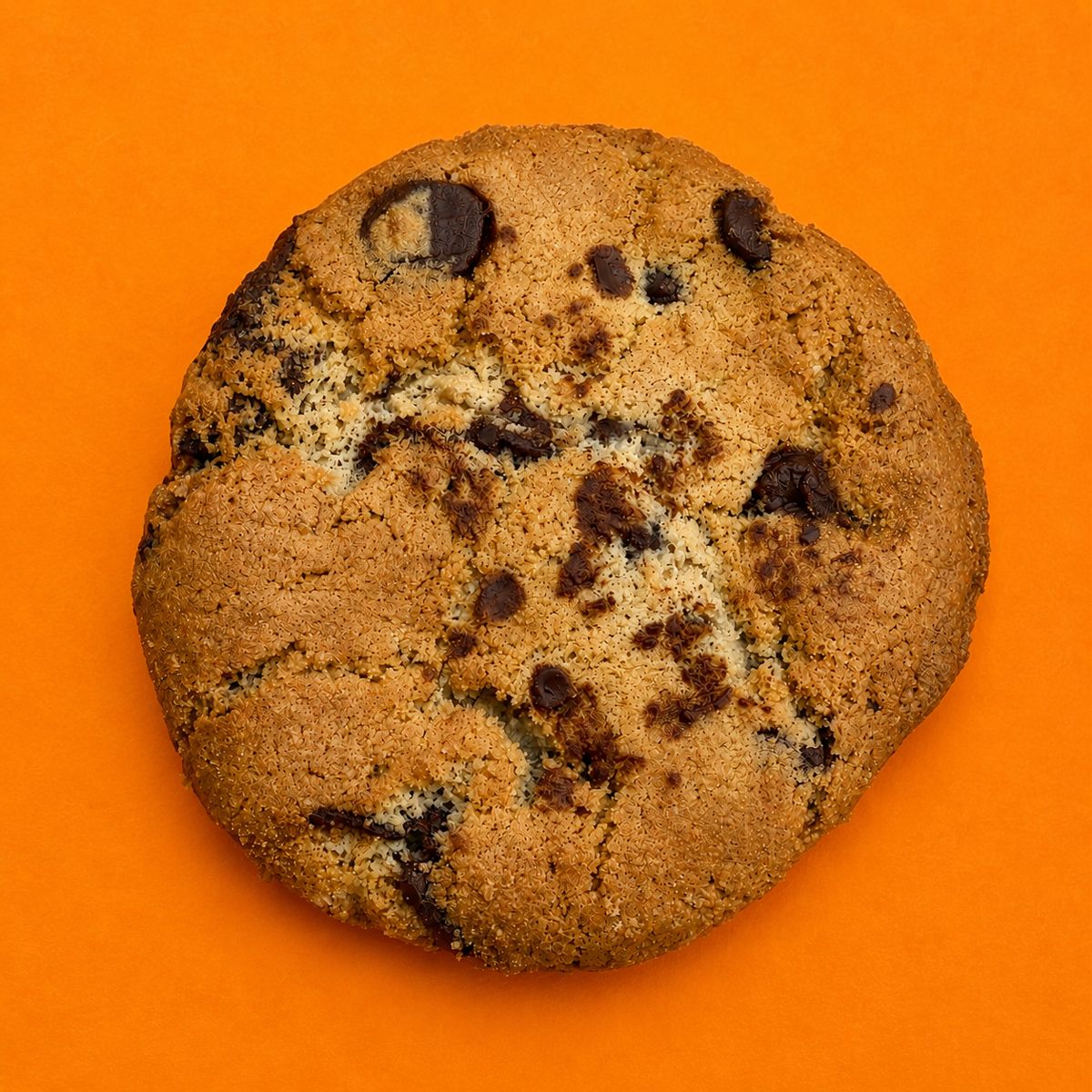 Chocolate Chip Cookie