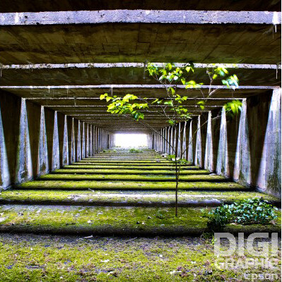 Base sous-marine à l&#39;arbuste