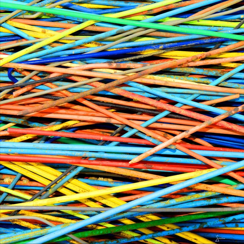 Joncs ostréicoles vus de profil