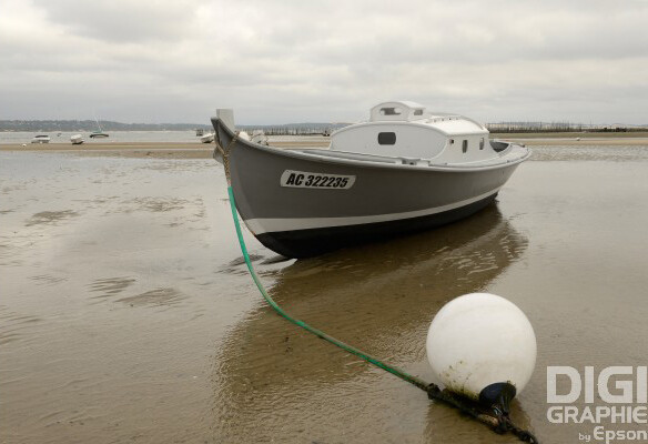 Pinasse grise au Mimbeau, Cap-Ferret