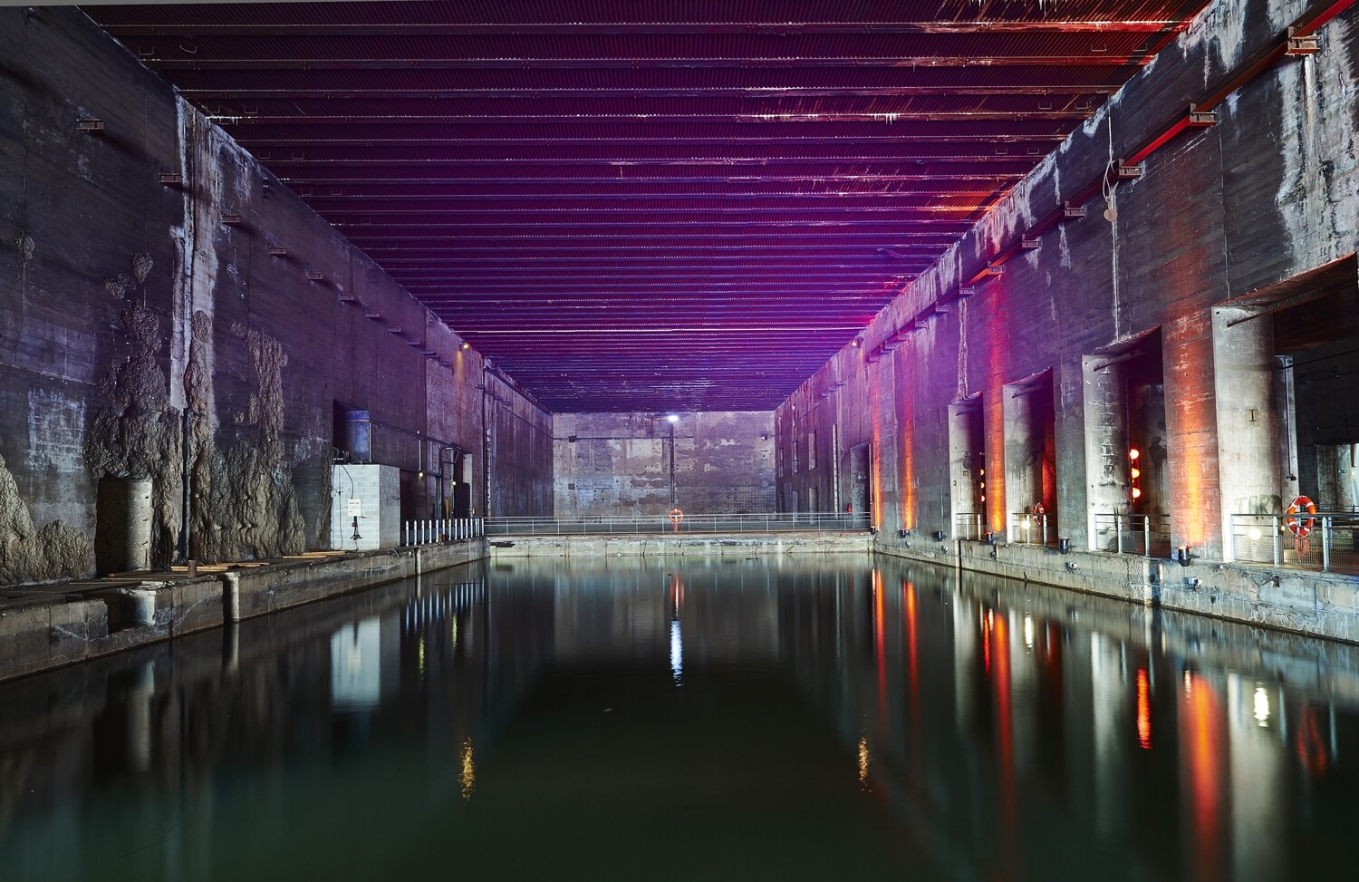 Base aux reflets violets