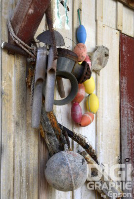 Nature morte marine