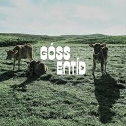 Góss - Entíð