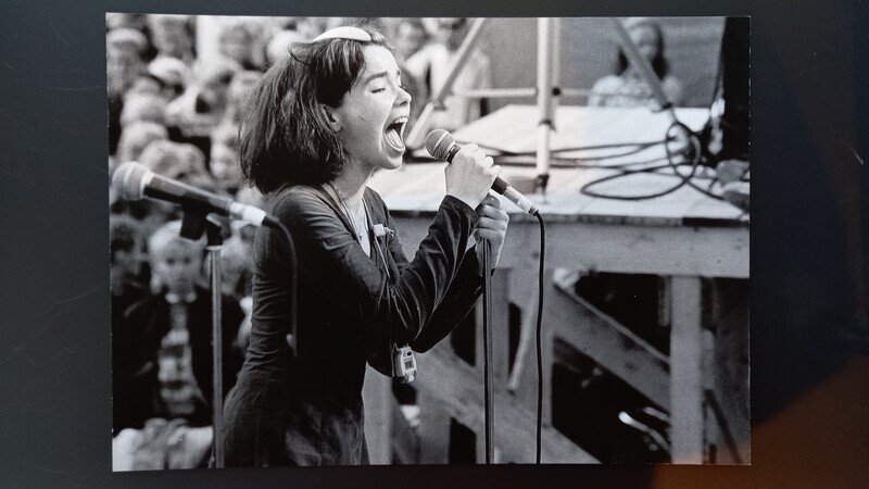 Poster - Björk