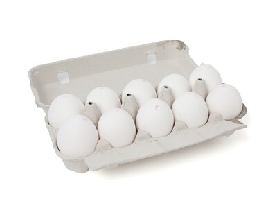 Eier