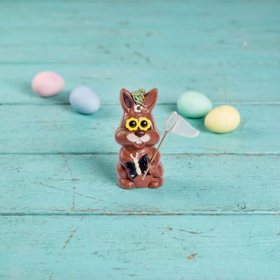 Schmetterlingfänger