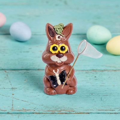 Schmetterlingfänger