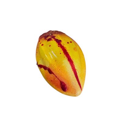 Kakaofrucht