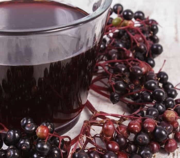 Elderberry Boost