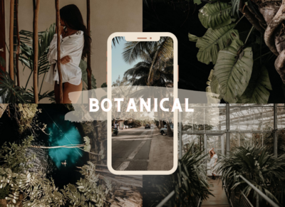 Botanical Mobile Presets Vol. 6- Karina Wiebe