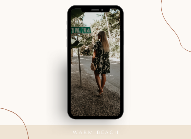 warm beach -Einzelpreset (Botanical) warm beach -Einzelpreset (Botanical)