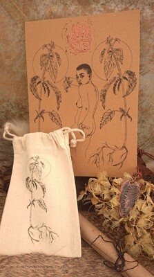 Nettle - Plant Spirit Bundle Nettle - Plant Spirit Bundle
