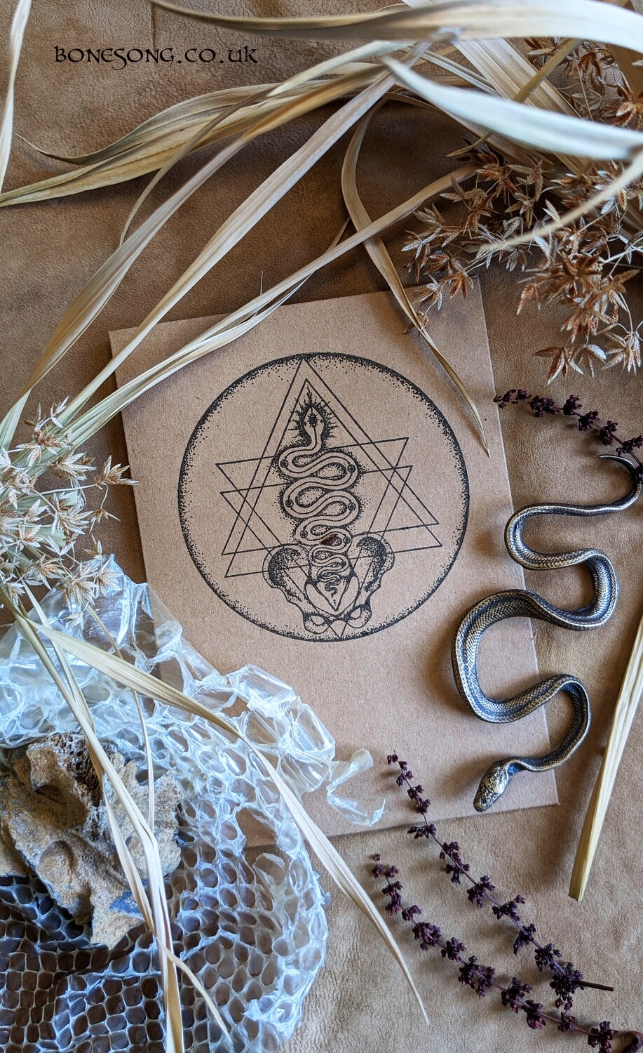 Serpent Circle Card