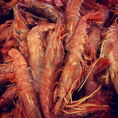 ROYAL REDS HEAD ON 4.4 POUND BOX FROZEN