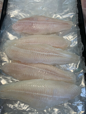 BASA/SWAI FILLETS 15 POUND Case FROZEN