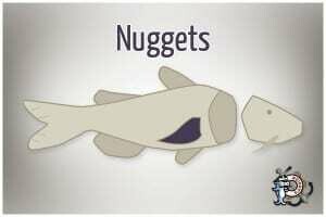 CATFISH NUGGETS FROZEN 15 POUND CASE