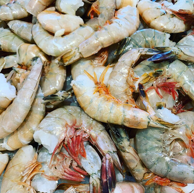 HEAD OFF SHRIMP