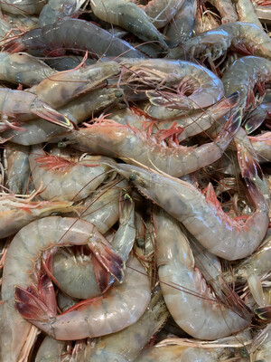 HEAD ON SHRIMP