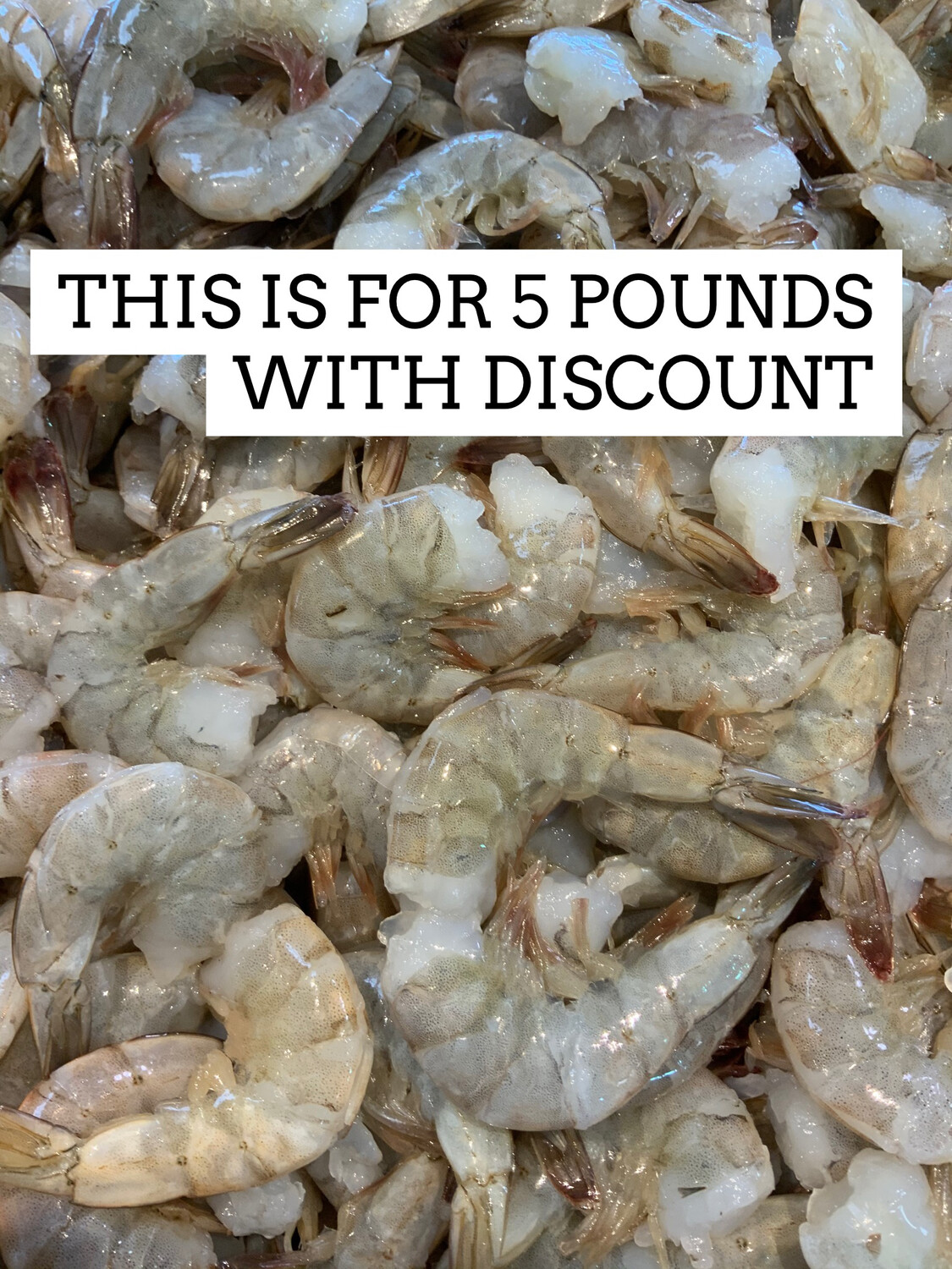 JUMBO EZ PEEL (16/20 Count) SHRIMP 5 POUNDS DISCOUNT