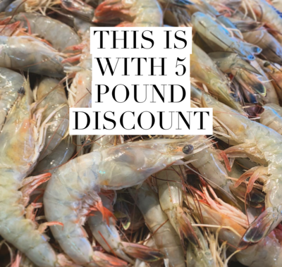 JUMBO HEAD ON (9/12) 5 Pound DISCOUNT