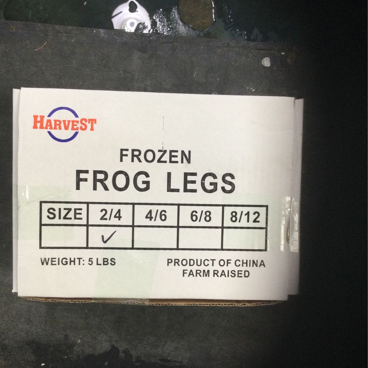 Frog Legs