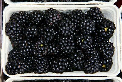 125g Blackberries