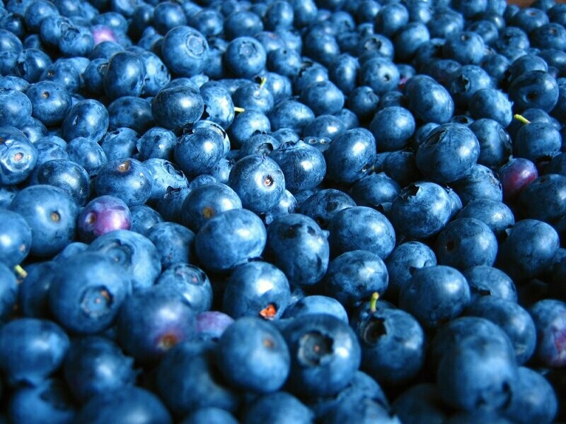 125g Blueberries