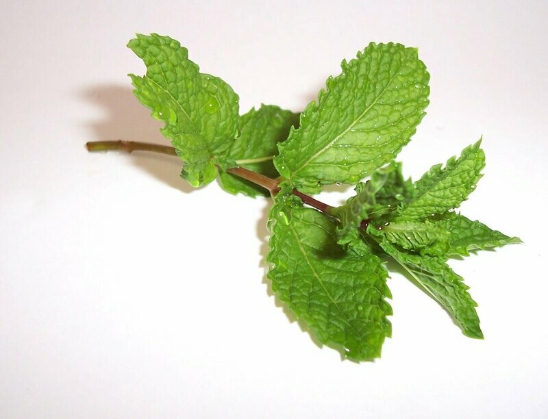 50g Mint