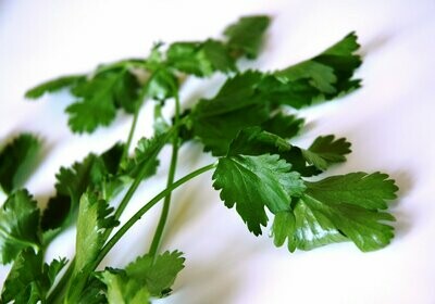 50g Coriander