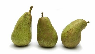 4 Pears