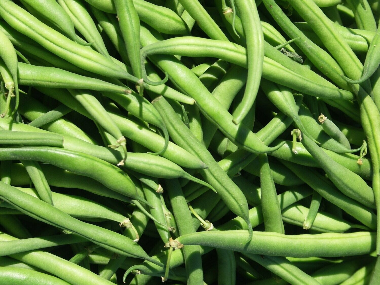 150g Fine Beans