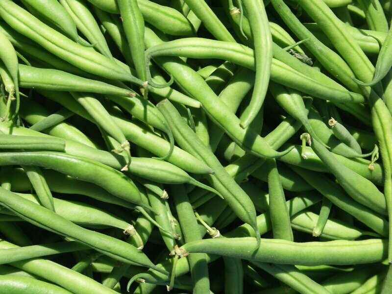 150g Fine Beans