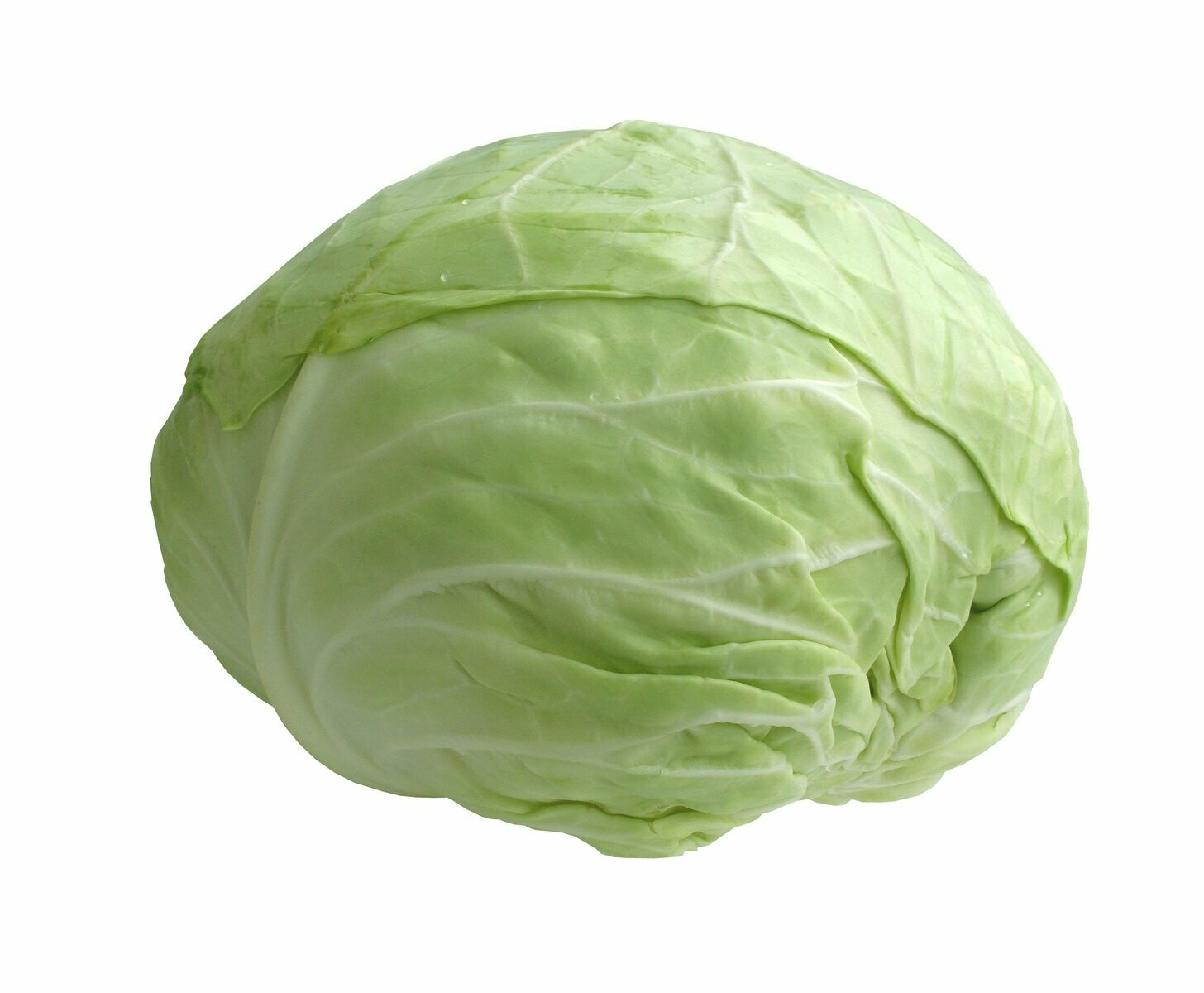 1 Cabbage