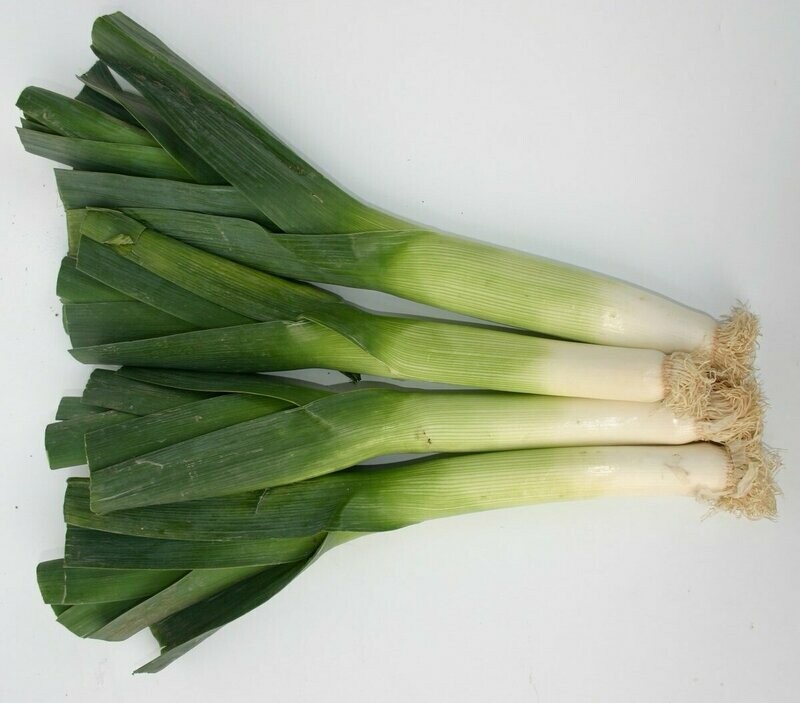 1 Leek