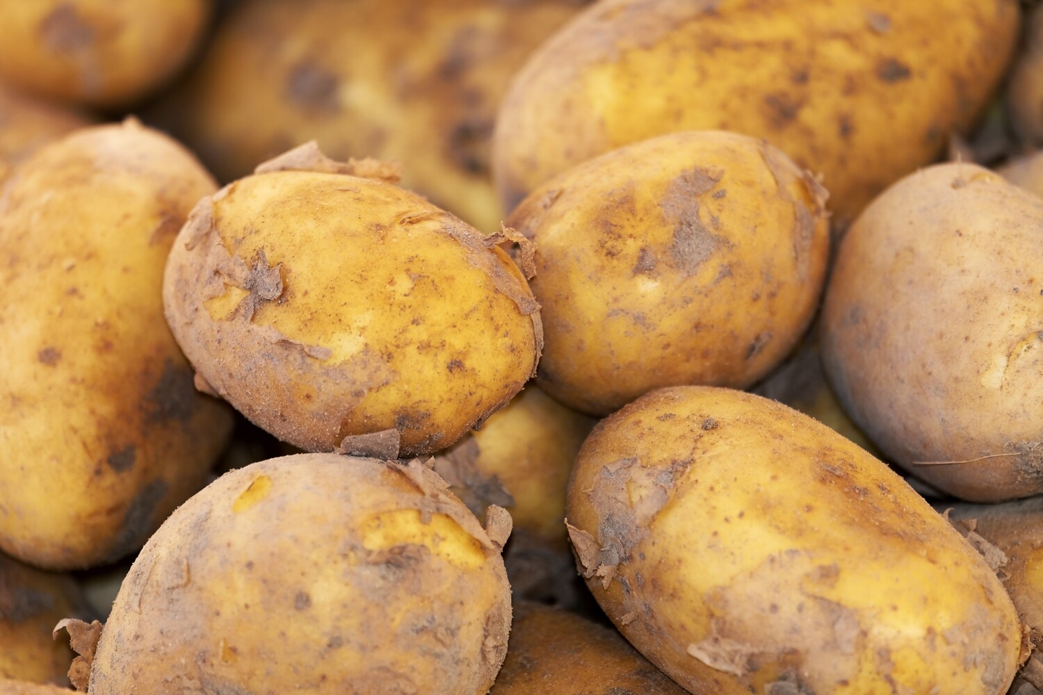 2kg Potatoes