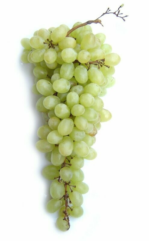 500g Grapes